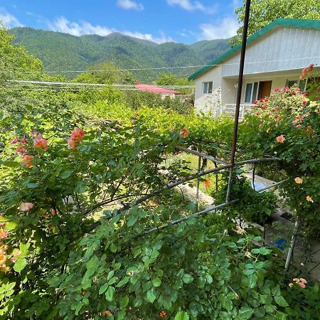 Koticha Villa Borjomi Eksteriør billede