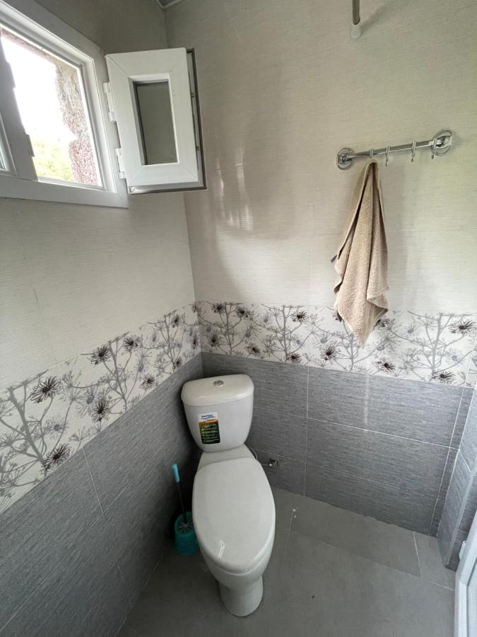 Koticha Villa Borjomi Eksteriør billede